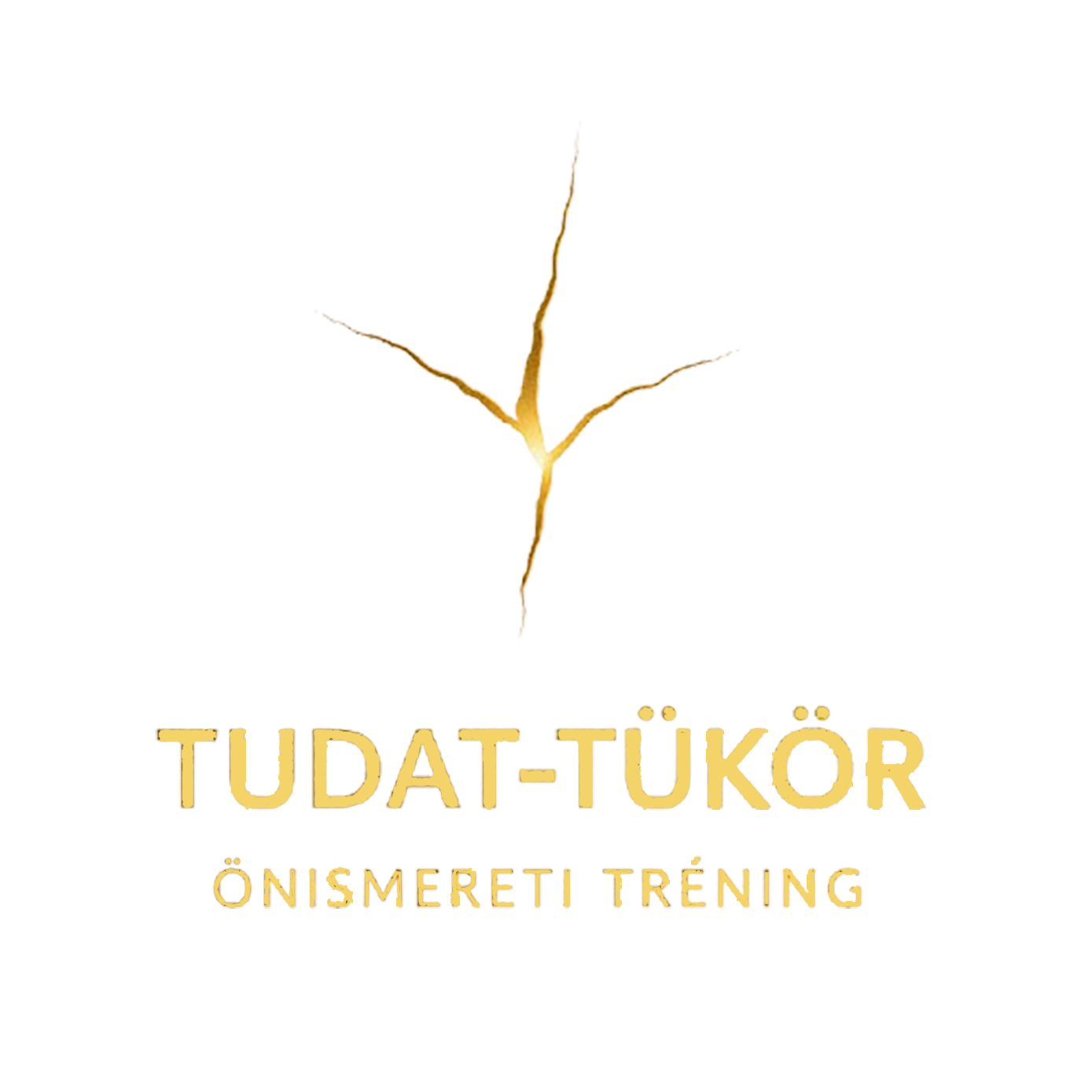 Tudat-Tükör logo